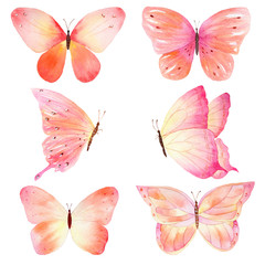 Watercolor handmade butterfly set on white background.
