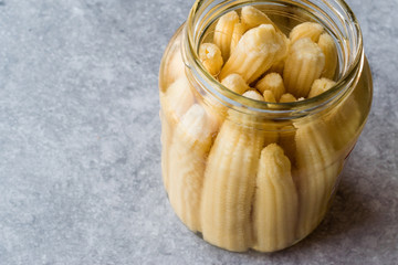 Jar of Preserved Baby Corn Pickle
