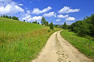 Fototapeta na wymiar Rural country road in a grassy meadow on a blue sky with white clouds background