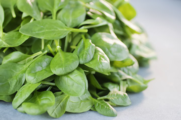 Food background. Fresh green spinach on gray concrete background.