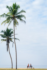 Two friends rest under the palm trees