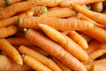 Crates of fresh carrots at Farmers' market