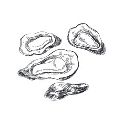 Beautiful vector hand drawn seafood Illustration.