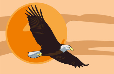 Eagle soars in the orange sky. Vector drawing