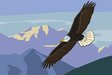 Eagle soars in the wild mountains. Vector drawing