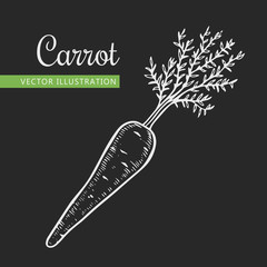 carrot