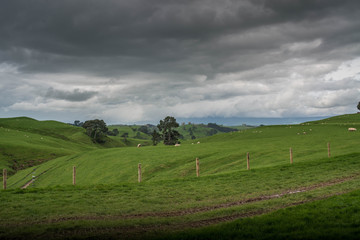 Landscape New Zealand