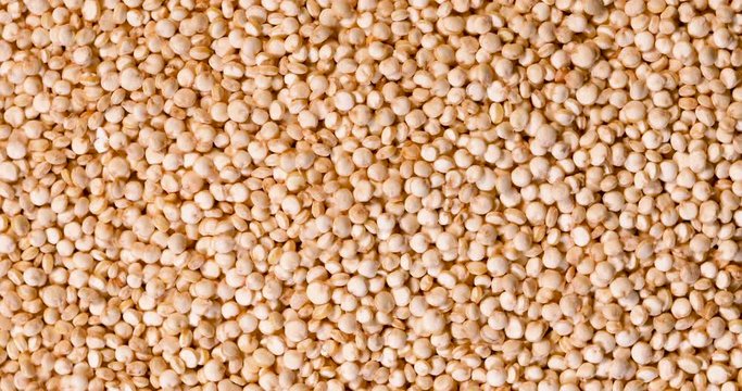 Close up a white  quinoa seeds , gluten free superfoods with high protine , anioxidant and fiber , 4k Dci resolution