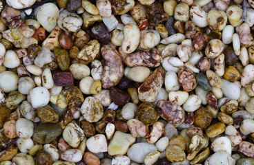 lots of bright colorful rounded pebbles