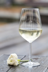white wine and rose