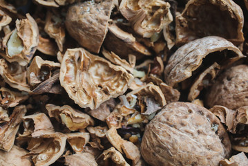 Fototapeta na wymiar Walnut shells background. Nuts texture. Healthy energy food.