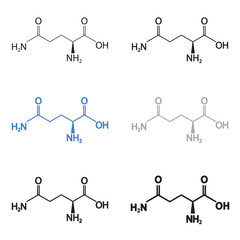  Glutamine, L-gluatimine molecular structural chemical formula set. Vector icon.