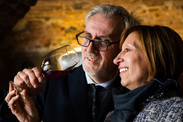 happy senior couple drinking a wine glass