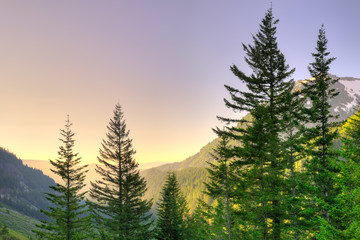 Panoramic view of Mount Rainier National Park, Washington State, USA