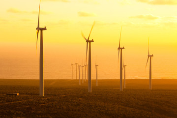 Windmills at wind farm in Coquimbo Region, Chile