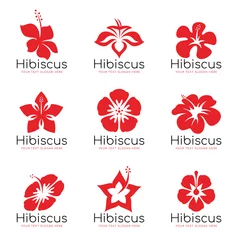 Foto op Aluminium Red Hibiscus flower logo sign vector set design © ananaline
