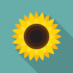Sunflower icon in flat style with long shadow. Vector Illustration