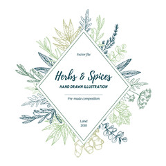 Hand drawn vector illustration. Label with herbs and spices (sage, tarragon, ginger). Herbal pre-made composition. Perfect for menu, cards, prints, packing, leaflets