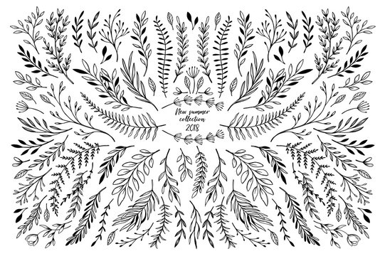 Hand sketched vector floral elements ( leaves, flowers, swirls and branches). Botanical illustrations. Perfect for wedding invitations, greeting cards, quotes, blogs, Frames