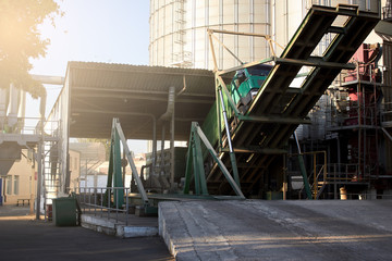 Naklejka premium Unloading grain truck at elevator on elevating hydraulic platform unloader. Grain crops transshipment at big sea terminal at seaport.