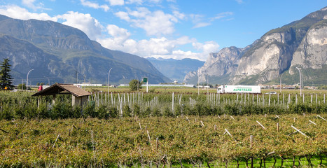 Naklejka premium Blick in die Roccetta Schlucht, Trentino