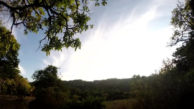 A reverse time lapse of a stunning evening with trees and clouds in the background.