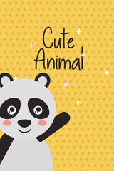 cute animal panda cartoon bright background vector illustration