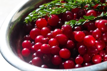 Red sweet cranberries