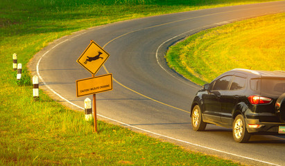 Black SUV car of the tourist driving with caution during travel at curve asphalt road near yellow traffic sign with deer jumping inside the sign and have message 