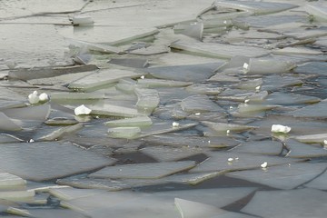 Melting ice on the river. The beginning of spring. The ice in the water.
