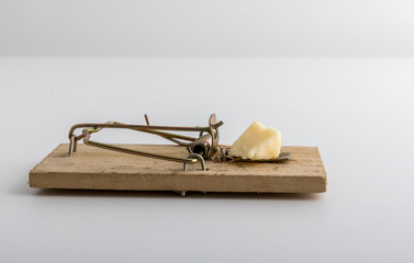 wooden mouse trap with cheese bait, light background