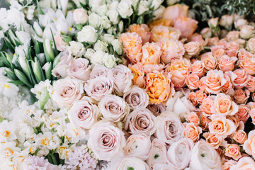 Beautiful fresh blossoming flowers (roses, tulips, narcissus, ranunculus) at the florist shop in pastel cream and pink colors, top view, flat lay, texture