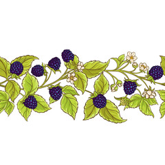 Naklejka premium blackberry vector pattern