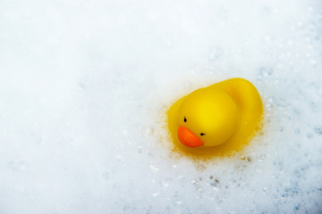 yellow rubber duck in bath swimming in foam water