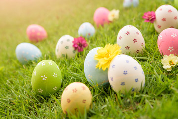 Happy easter!  Closeup Colorful Easter eggs in nest on green grass field during sunset background.