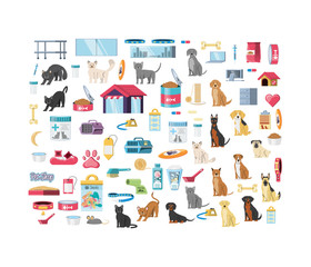 pet shop veterinary elements