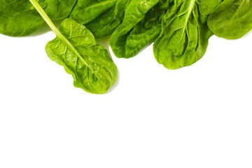 Spinach leaves isolated on white background