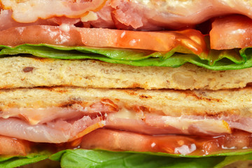 Club sandwich on wooden table