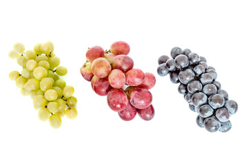 Red green and dark blue bunches of grapes isolated on white background