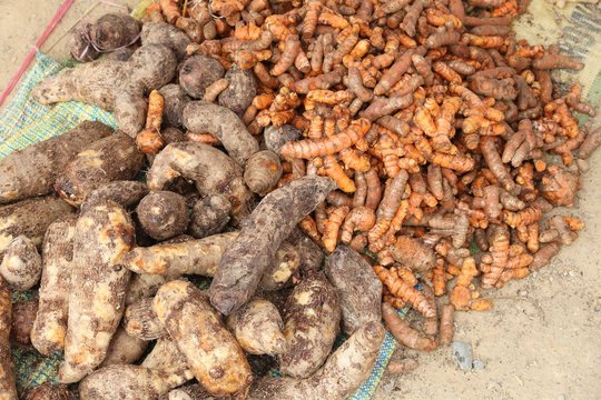 Philippine vegetables - sweet potato and turmeric