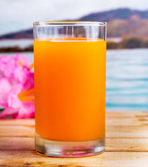 Freshly Squeezed Juice Shows Healthy Orange Drink And Natural