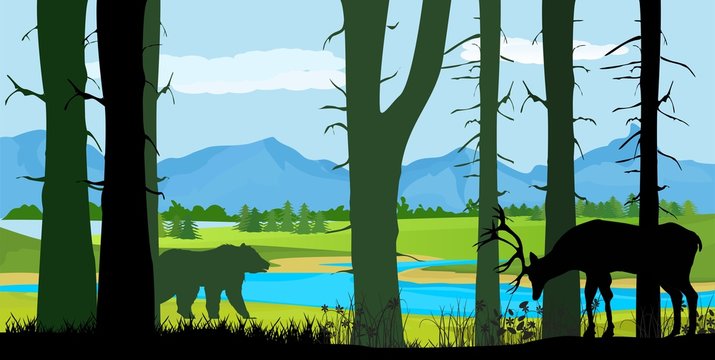 Wildlife vector silhouettes, northern forest trees and deer and bear silhouettes, wildlife concept