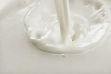 Fototapeta na wymiar Pouring white Milk