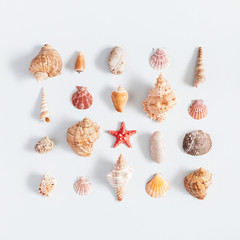 Sea shells pattern on gray background. Summer concept. Flat lay, top view, square
