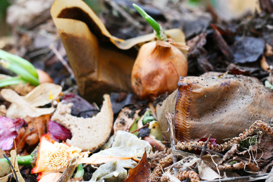 Komposthaufen im Garten, Kompost, Kompostierung von Biomüll, Reduktion von Müll durch Trennung, organische Abfälle im eigenen Hausgarten verarbeiten