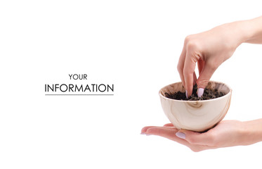 Leaf tea in a pial of female hands pattern