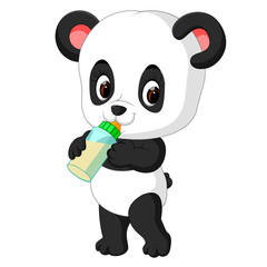 cute baby panda holding milk bottle