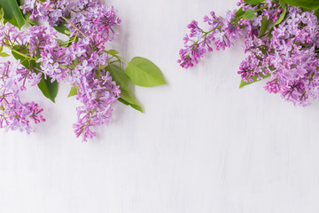 Lilac branches on a light background
