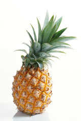 fresh pineapple.