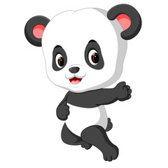 cute baby panda cartoon